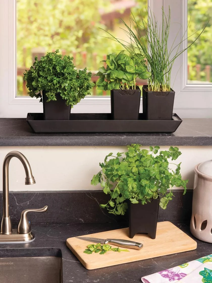 Pop-Out Pots, Set Of 4 3 Pop-Out Pots, Set Of 4