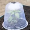 Large Garden Cloches, Set Of 3 -Gardening Supplies 8593984 345 tif