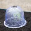 Medium Garden Cloches, Set Of 6 1 Medium Garden Cloches, Set Of 6 -Gardening Supplies 8593985 347 tif