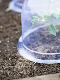 Medium Garden Cloches, Set Of 6 8 Medium Garden Cloches, Set Of 6 -Gardening Supplies 8593985 9441 tif