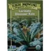 Lacinato Dino Kale Organic Seeds -Gardening Supplies 8594082 9241 tif
