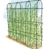 Titan Pea Tunnel 1 Titan Pea Tunnel -Gardening Supplies 8596275 0002 1 tif