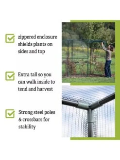 Crop Cage, 4' X 12' 10 Crop Cage, 4' X 12' -Gardening Supplies 8596540 4