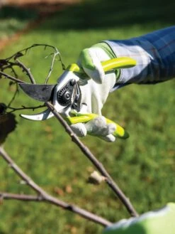 Gardener's Pro Pruner #2 9 Gardener's Pro Pruner #2 -Gardening Supplies 8596605 032 tif