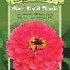 Giant Coral Zinnia Organic Seeds -Gardening Supplies 8598226 01V tif