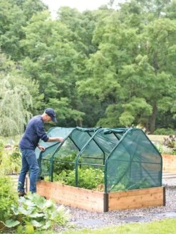 3-Season Plant Protection Tent, 4' X 8' 10 3-Season Plant Protection Tent, 4' X 8' -Gardening Supplies 8598282 0101 tif