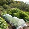 Insect Protection Tunnel -Gardening Supplies 8598536 8225 tif