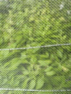 Gardening Supplies -Gardening Supplies 8598536 9160 tif