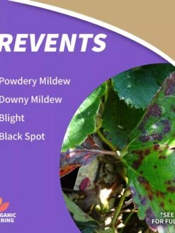 Captain Jack's™ Copper Fungicide Ready To Use, 1 Quart 5 Captain Jack's™ Copper Fungicide Ready To Use, 1 Quart -Gardening Supplies 8598746 01V