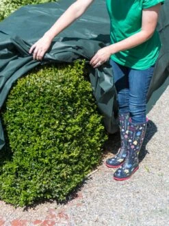 The Planket® Frost Protection Plant Cover, 10' X 20' 9 The Planket® Frost Protection Plant Cover, 10' X 20' -Gardening Supplies 8599101 0929 tif