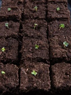 Vermont Compost Company Fort Vee™ Potting Mix, 20 Quarts -Gardening Supplies 8599281 5930