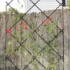 Achla Designs Freestanding Lattice Trellis -Gardening Supplies 8599475 01V tif
