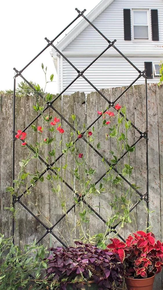Achla Designs Freestanding Lattice Trellis 3 Achla Designs Freestanding Lattice Trellis