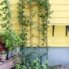 Achla Designs Waves Trellis -Gardening Supplies 8599491 01V tif