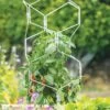 Gardener's Vertex Lifetime Pepper And Eggplant Cage 2 Gardener's Vertex Lifetime Pepper And Eggplant Cage -Gardening Supplies 8599554 3000 tif