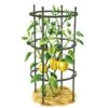 Titan Pepper Eggplant Cages, Set Of 3 -Gardening Supplies 8599859 0001 art tif