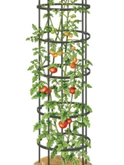 Titan Tall Tomato Cages, Set Of 3 -Gardening Supplies 8599860 0002 art tif