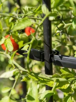 Titan Tomato Cages, Set Of 3 -Gardening Supplies 8599861 0079 tif