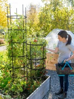 Titan Tomato Cages, Set Of 3 -Gardening Supplies 8599861 0114 tif