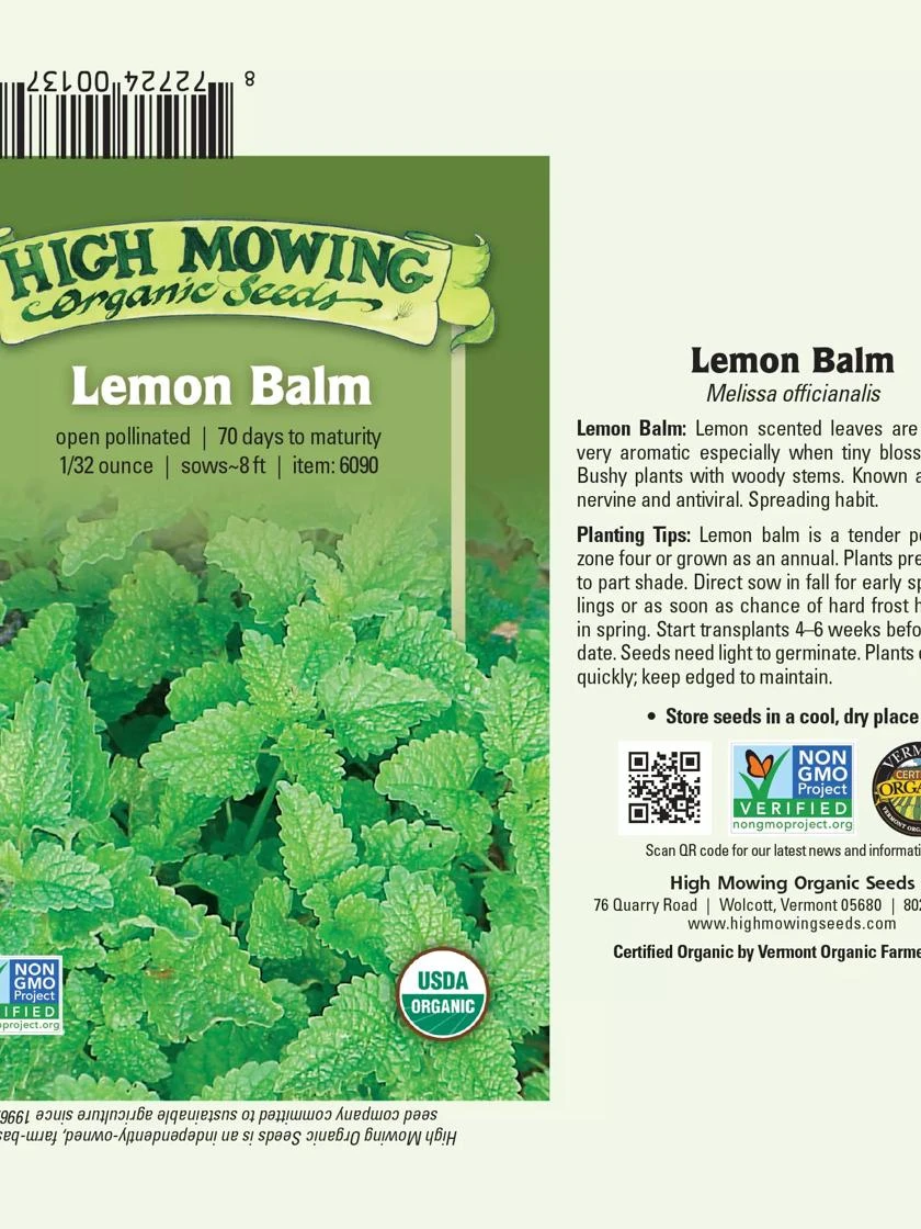 Lemon Balm Organic Seeds 3 Lemon Balm Organic Seeds - Image 2
