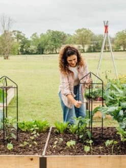 Zenith Folding Garden Supports, Set Of 2 17 Zenith Folding Garden Supports, Set Of 2 -Gardening Supplies 8600073 324 tif