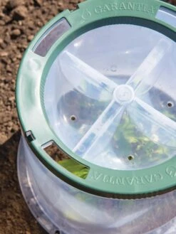 Sunny Forcing Cloches, Set Of 3 11 Sunny Forcing Cloches, Set Of 3 -Gardening Supplies 8600075 0742 tif