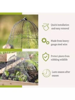 Chicken Wire Cloche With Extension 17 Chicken Wire Cloche With Extension -Gardening Supplies 8600116 3