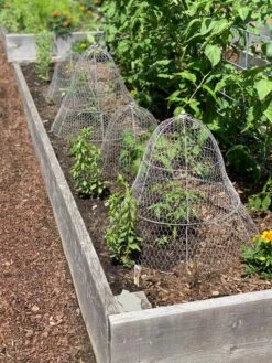 Chicken Wire Cloche With Extension 23 Chicken Wire Cloche With Extension -Gardening Supplies 8600116 4930 tif
