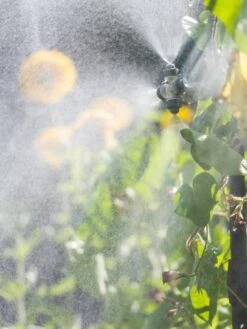 Landscape 4-Way Cooling Mist Kit, 50' 12 Landscape 4-Way Cooling Mist Kit, 50' -Gardening Supplies 8600154 0695 tif