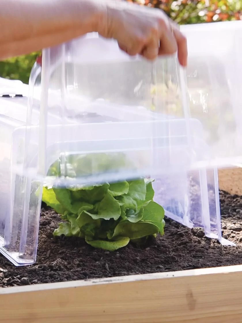 Cool Weather Row Cloche Ends, Set Of 2 4 Cool Weather Row Cloche Ends, Set Of 2 - Image 2