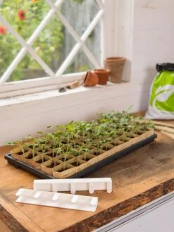 Paper Pots Starter Set 12 Paper Pots Starter Set -Gardening Supplies 8600273 0303 tif