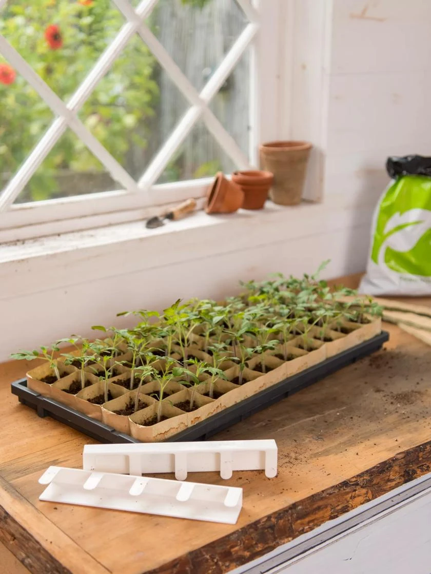 Paper Pots Starter Set 7 Paper Pots Starter Set - Image 5