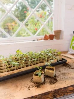 Paper Pots Starter Set 13 Paper Pots Starter Set -Gardening Supplies 8600273 0307 tif