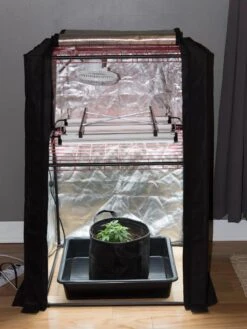 Hemp Grow Kit 14 Hemp Grow Kit -Gardening Supplies 8600301 0590 tif