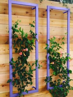 Ina Modern Wall Trellis Sr. 14 Ina Modern Wall Trellis Sr. -Gardening Supplies 8600510 07V tif