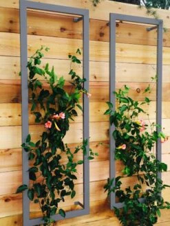 Ina Modern Wall Trellis Sr. 12 Ina Modern Wall Trellis Sr. -Gardening Supplies 8600510 08V jpg