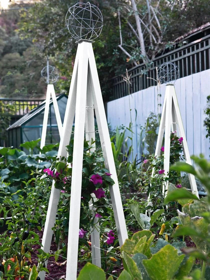 Akoris Garden Tuteur Sr. 7 Akoris Garden Tuteur Sr. - Image 5