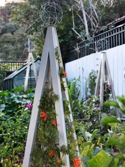 Akoris Garden Tuteur Jr. 14 Akoris Garden Tuteur Jr. -Gardening Supplies 8600517 07V tif