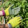 Garden Works Artisan™ Gloves -Gardening Supplies 8609445 0364 tif