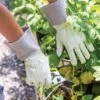 Garden Works Mid Cuff™ Gloves 1 Garden Works Mid Cuff™ Gloves -Gardening Supplies 8609447 0118 tif