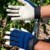 Garden Works Traditions™ Gloves 2 Garden Works Traditions™ Gloves -Gardening Supplies 8609448 0372 tif