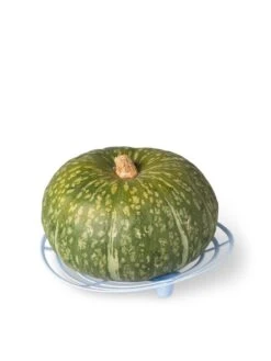 Melon And Squash Cradles, Set Of 6 8 Melon And Squash Cradles, Set Of 6 -Gardening Supplies 8609464 5204 tif