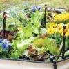 Raised Bed Bubblers Irrigation Kit -Gardening Supplies 8610220 1172 tif