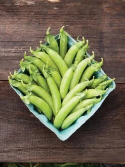 Family Garden Organic Seed Collection, Set Of 7 11 Family Garden Organic Seed Collection, Set Of 7 -Gardening Supplies 8610262 cascadia peas 01V tif