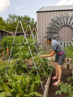 Connector Kit For DIY A Frame Plant Support 13 Connector Kit For DIY A Frame Plant Support -Gardening Supplies 8610366 7584 tif