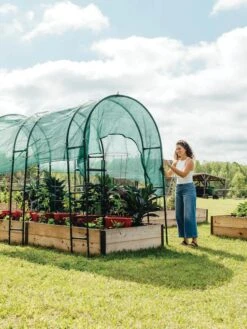 Maxi Garden Shade Fabric 9 Maxi Garden Shade Fabric -Gardening Supplies 8610372 365 tif