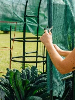 Maxi Garden Hoops With Clips 14 Maxi Garden Hoops With Clips -Gardening Supplies 8610372 368 tif