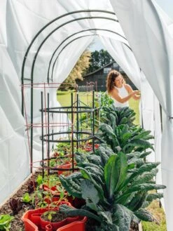 Maxi Garden Hoops With Clips 13 Maxi Garden Hoops With Clips -Gardening Supplies 8610373 377 tif