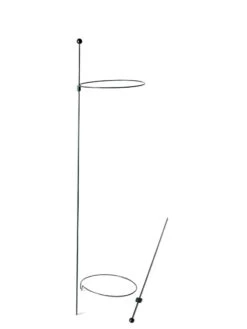 Peacock Mini Plant Support Rings 8", Set Of 2 -Gardening Supplies 8610388 9565 tif