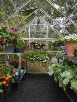 Canopia® By Palram Harmony™ Greenhouse, 6' X 14' 13 Canopia® By Palram Harmony™ Greenhouse, 6' X 14' -Gardening Supplies 8610563 03V jpg